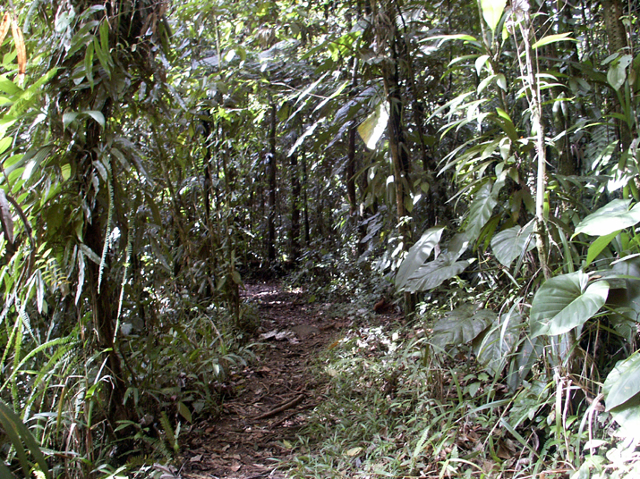 17b - Parc des Mamelles - Marche 025.jpg - DCF 1.0